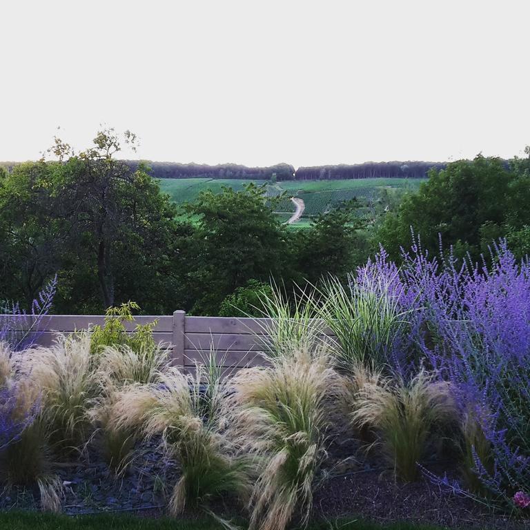 Gîte Millésime et une Nuit Villers-sous-Châtillon Exterior foto