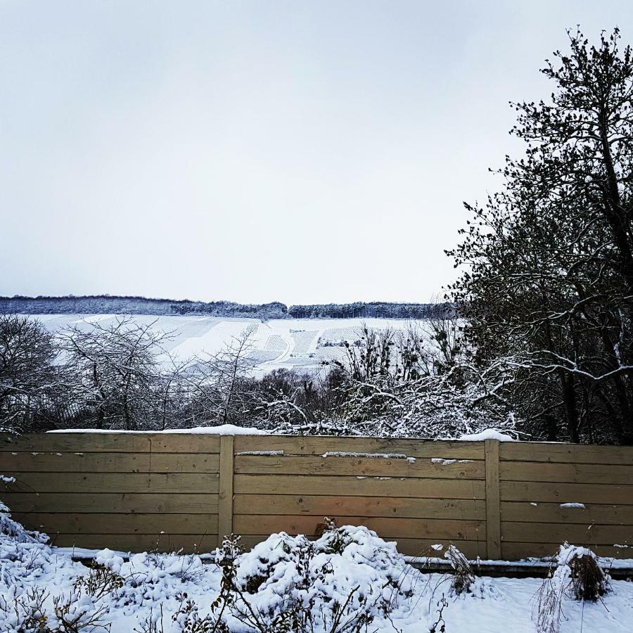 Gîte Millésime et une Nuit Villers-sous-Châtillon Exterior foto